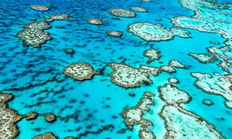 Australia’s Travel & Tourism Sector Anticipated to Inject $315 Billion into Economy by 2025