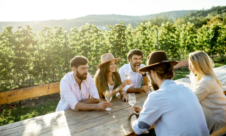 Sip, Savor, Explore: the Allure of Wine Tourism