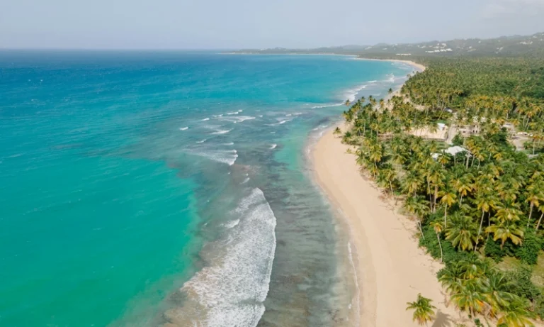South America’s Hotel Surge: A 2025 Performance Overview