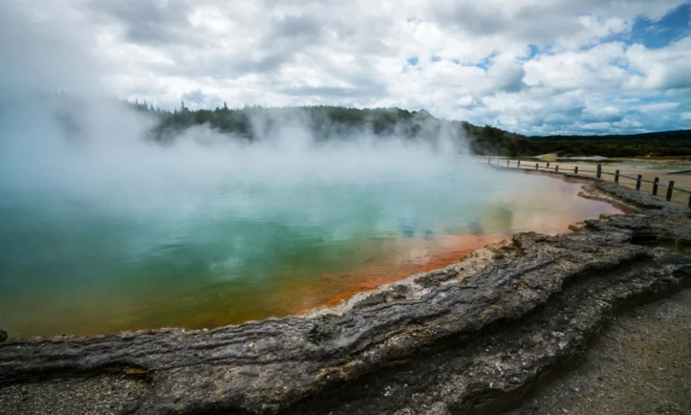 Horwath HTL Report – New Zealand Hotel Performance Focus June 2025
