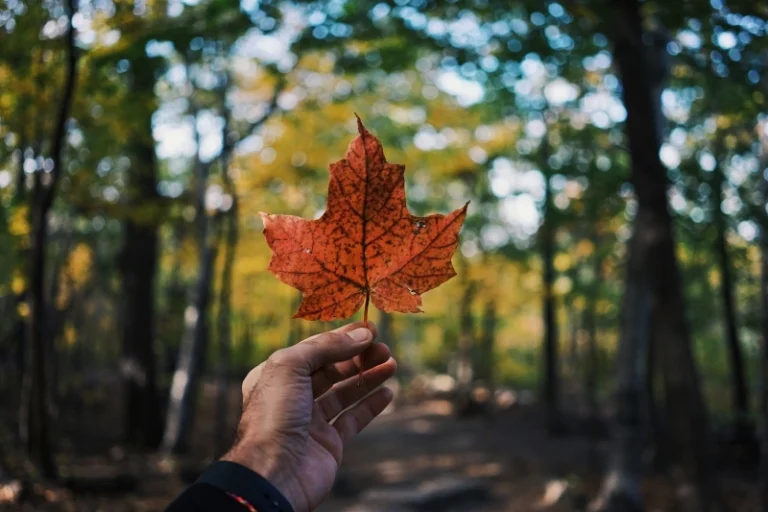 Canadian Tourism Sector Outpaces National Economic Growth