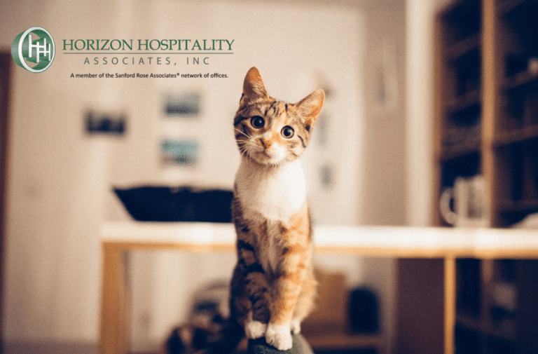 The Gen Z Stare? Cohesion Strategies for Multigenerational Hospitality Teams