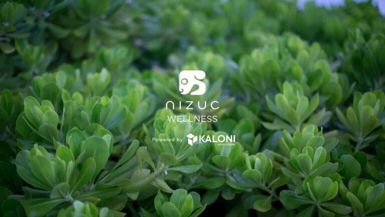 Discover a New Standard of Wellness at NIZUC!