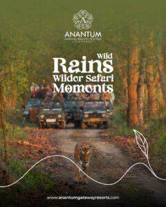 Jungle Safari in Jim Corbett